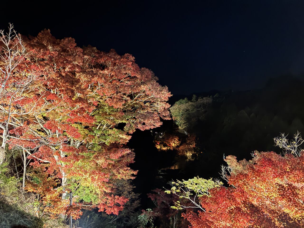 20251126_100149117_iOS