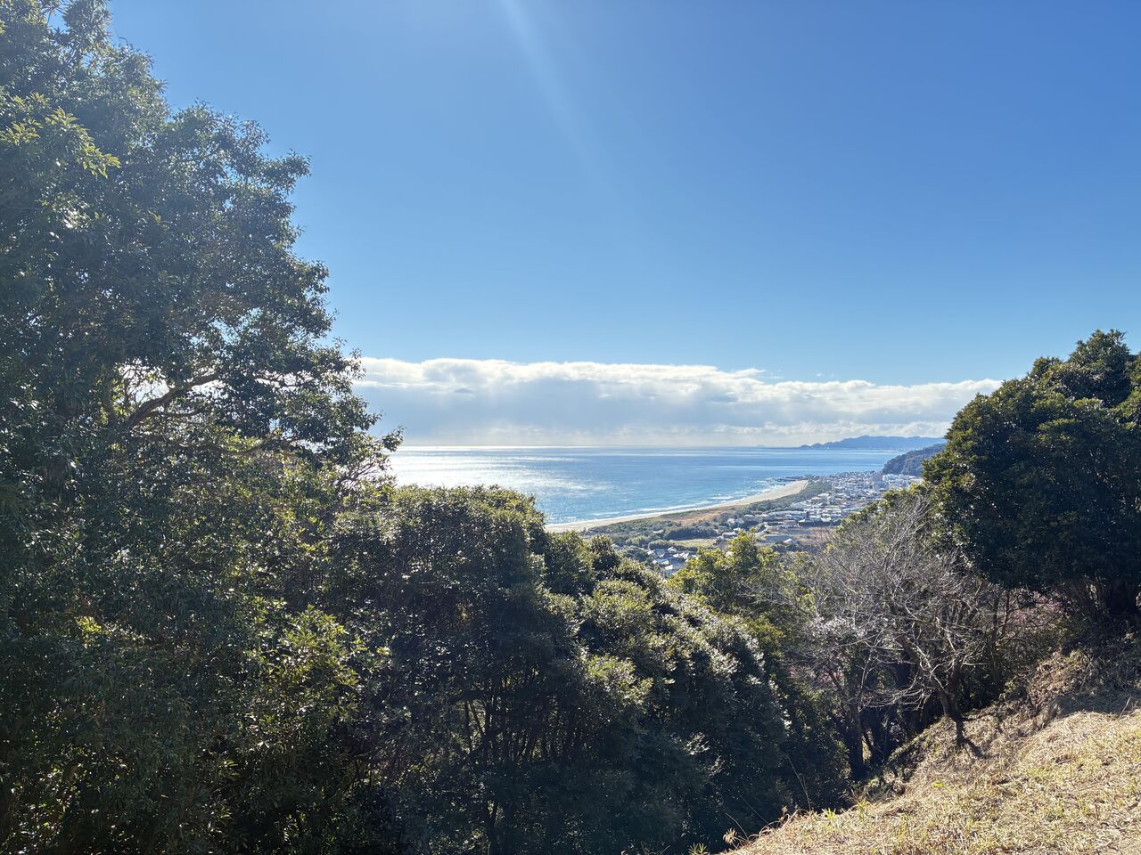 20260123_030442410_iOS