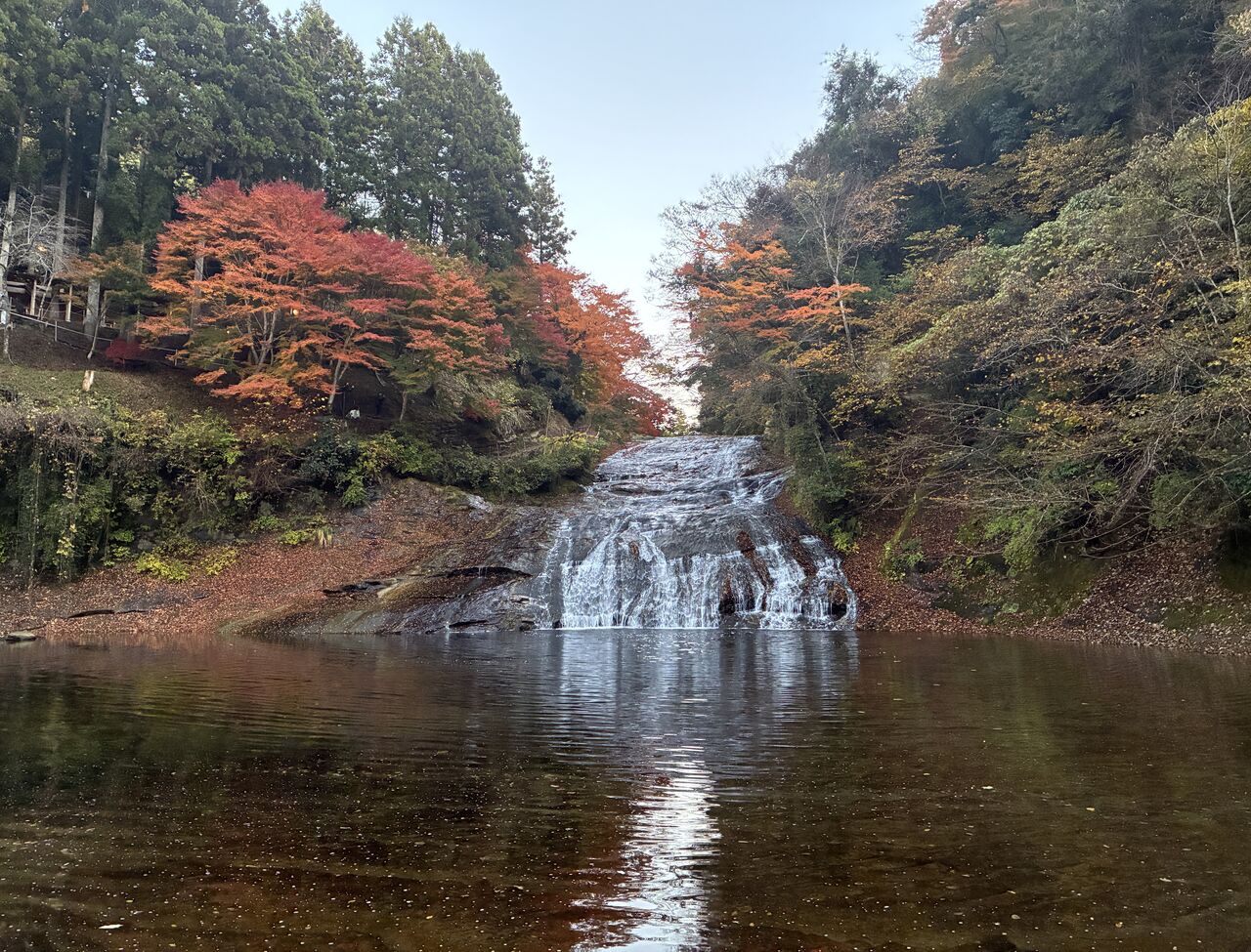 20251126_072159593_iOS