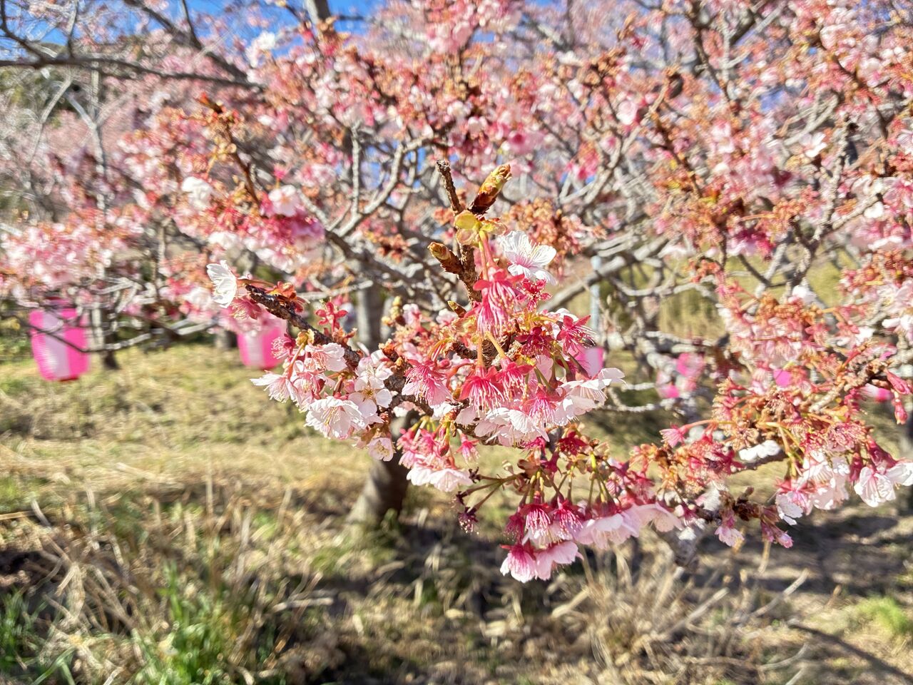 20260123_035800450_iOS