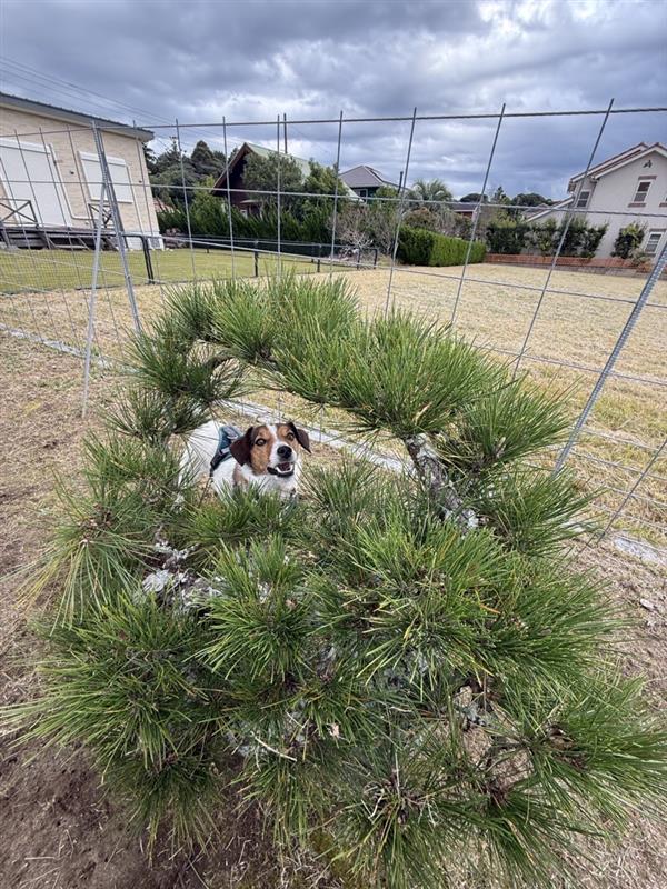 db6dc862-abad-4a94-a563-f287524c2508