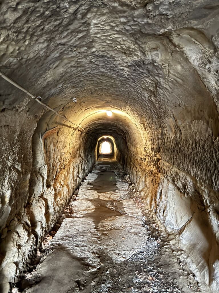 20260114_064746167_iOS