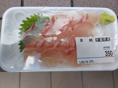 マダイ