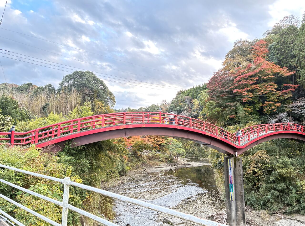 20251122_064744538_iOS