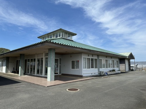 野島崎