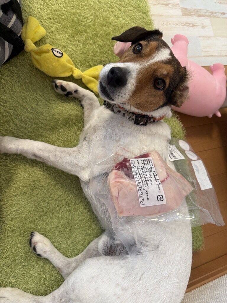 Image - 2025-12-20T174116.926