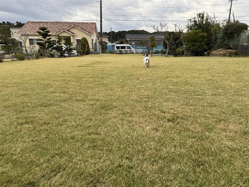 dad71ef8-1303-418b-bb34-aaea1f69d9ba