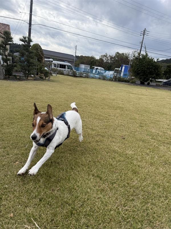 2104ced5-855e-493b-a6d1-6a114bc5db93