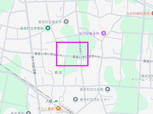 コスモスマップ