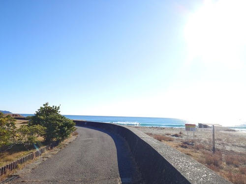 散歩道