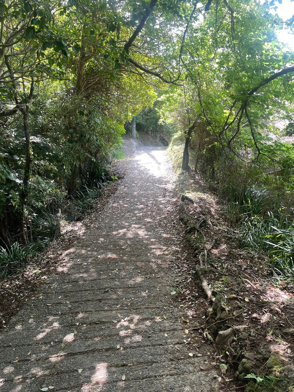山道