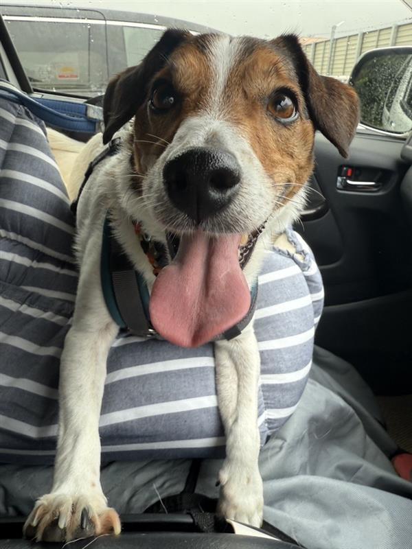 325137ad-8c6f-424d-874c-2172437d4505