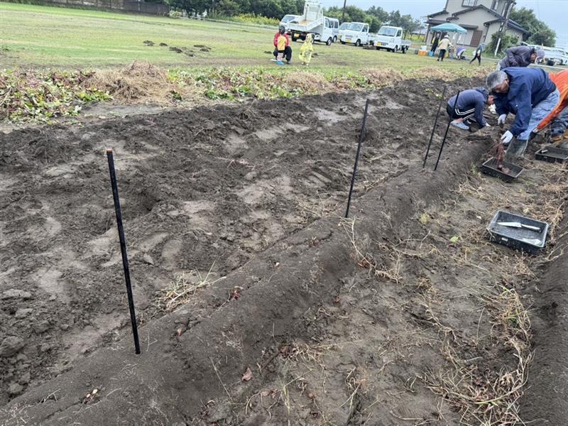 021079e7-a124-4a35-801a-6352e6c4741b