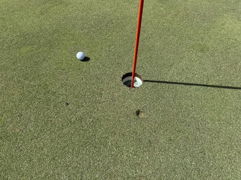 Image - 2026-04-25T092527.966