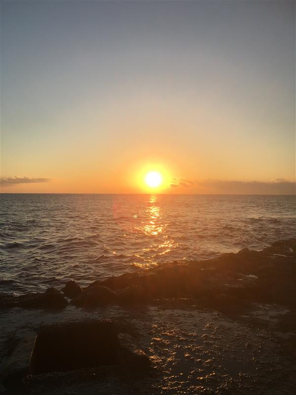 e9246d5e-f842-41ce-8912-45f1d8d10798