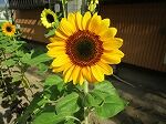 IMG_6604