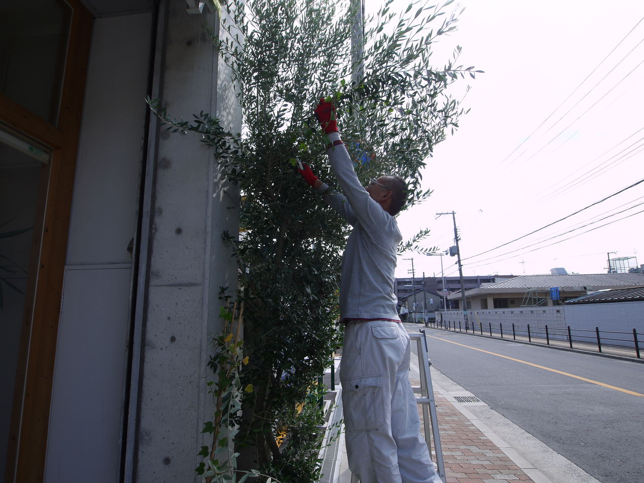 山本博工務店の玄関前で 住宅の工事現場や日々のできごとブログ 山本博工務店の玄関前で 住宅の工事現場や日々のできごとブログ