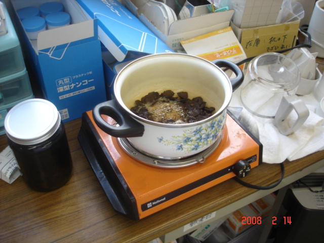 柿のへたの煎じ ひまわりゆう薬局の業務日誌