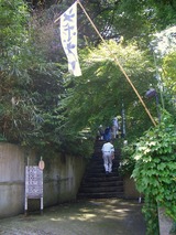 ΢�컳����