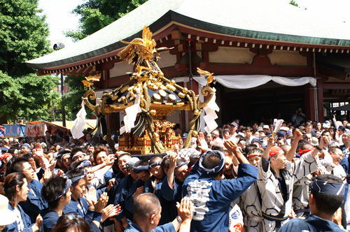 matsuri