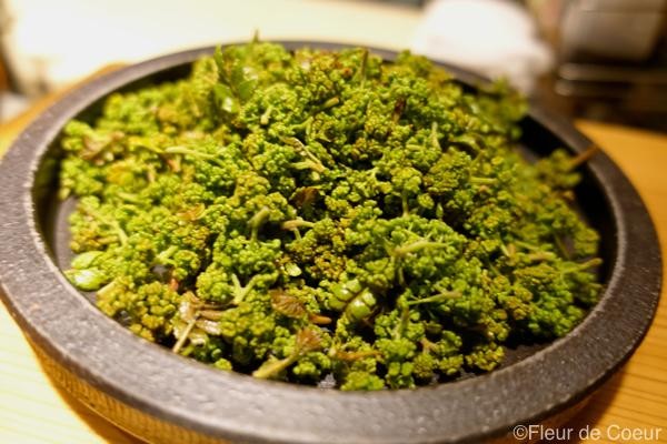 北新地 やまがた屋 年に一度の花山椒 Fleur De Coeur ココロノハナ 北新地 やまがた屋 年に一度の花山椒 Fleur De Coeur ココロノハナ