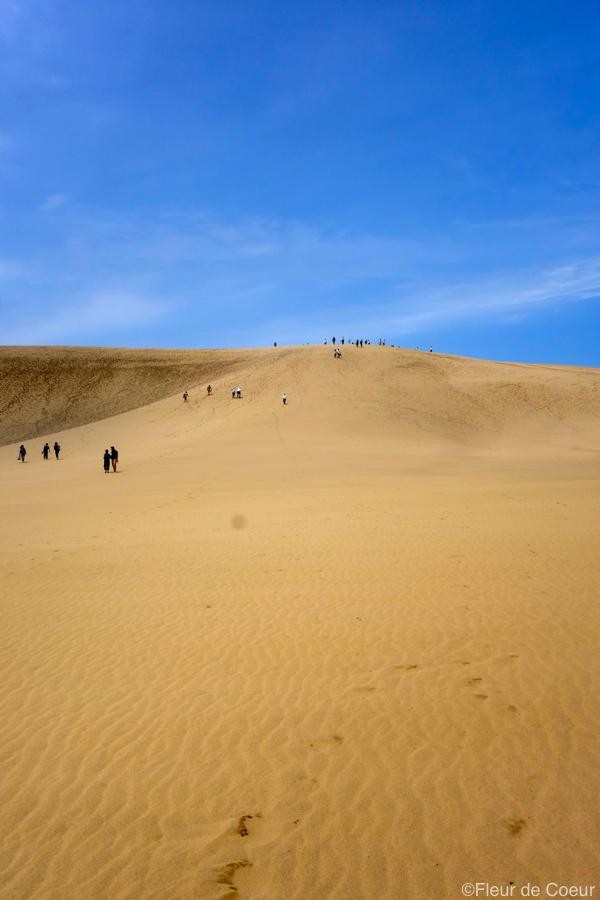 鳥取砂丘 日帰りで Fleur De Coeur ココロノハナ