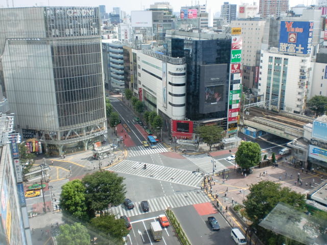 10 8 8 渋谷の朝 晴れ 続 Himebowのダブルバーズな日々