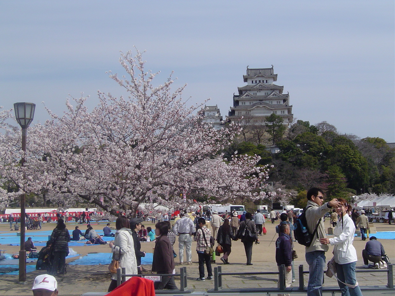 姫路城 観桜会 第４０代姫路お城の女王