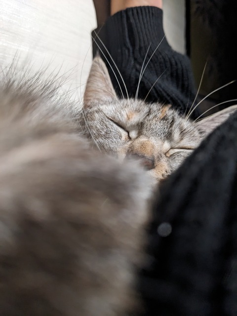 PXL_20241203_144815616