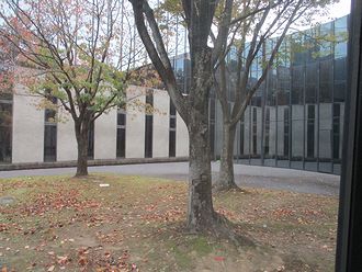 20251112 響ホール中庭 330 himeko