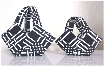 20251111 かご 350 himeko