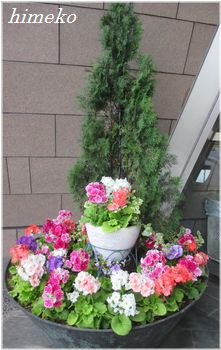 20200308 花壇 350 himeko