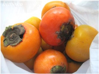 20251111 柿 330 himeko