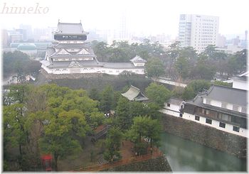 20100131 001 to350himeko