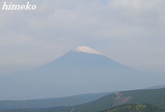 445a7cb6.jpg
