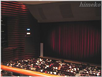 20100131 010 330himeko