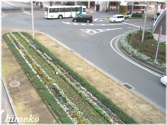 20100322 010to330himeko
