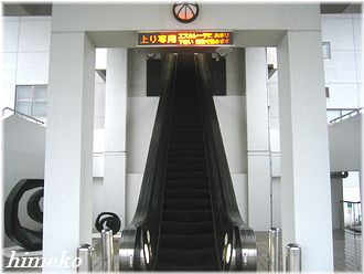 61c4f64e.jpg