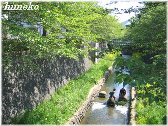 20100425 川遊び330himeko
