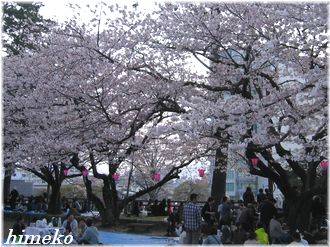 20100404?330himeko
