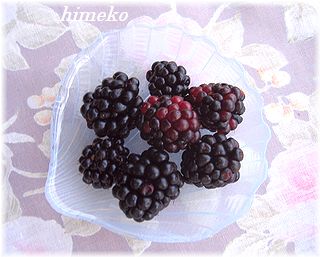 79c48c27.jpg