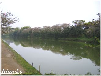 20100411 舞鶴公園のお濠③330himeko