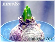 20091201 003 220 himeko