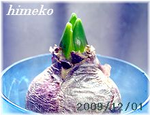 20091201 003  220 himeko