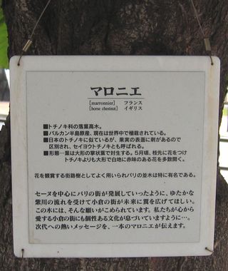 dcb68060.jpg
