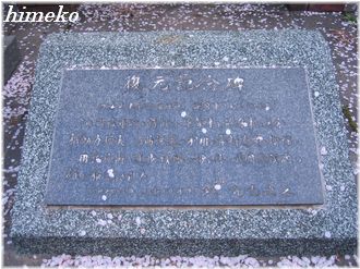 20100404?330himeko