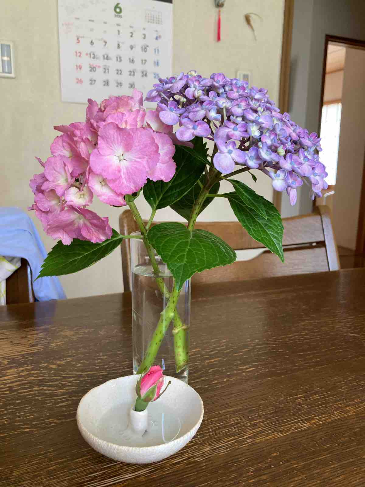 墨田の花火 姫とコム