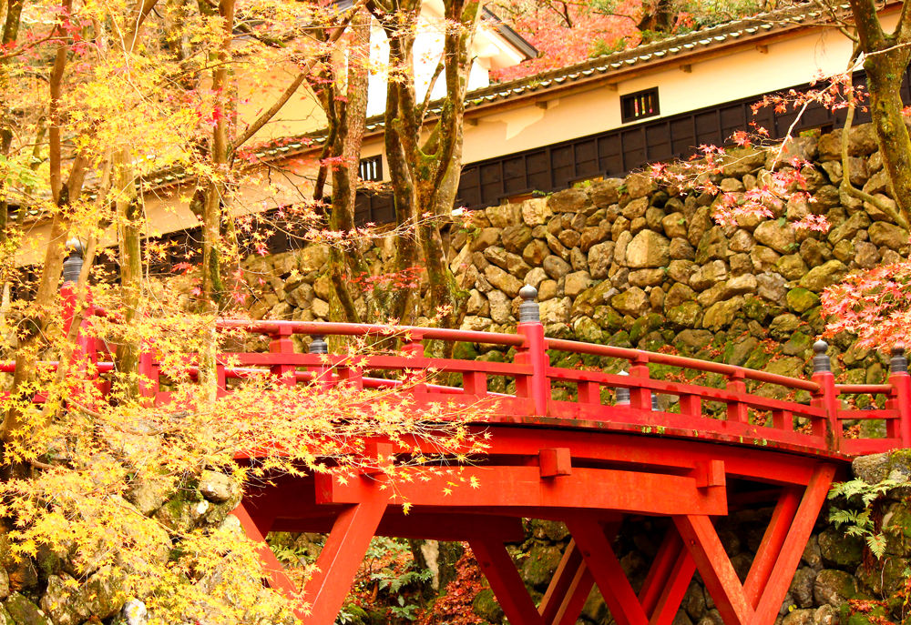 山の紅葉 横蔵寺の紅葉 おまけ 星の絵の具箱 山の紅葉 横蔵寺の紅葉 おまけ 星の絵の具箱