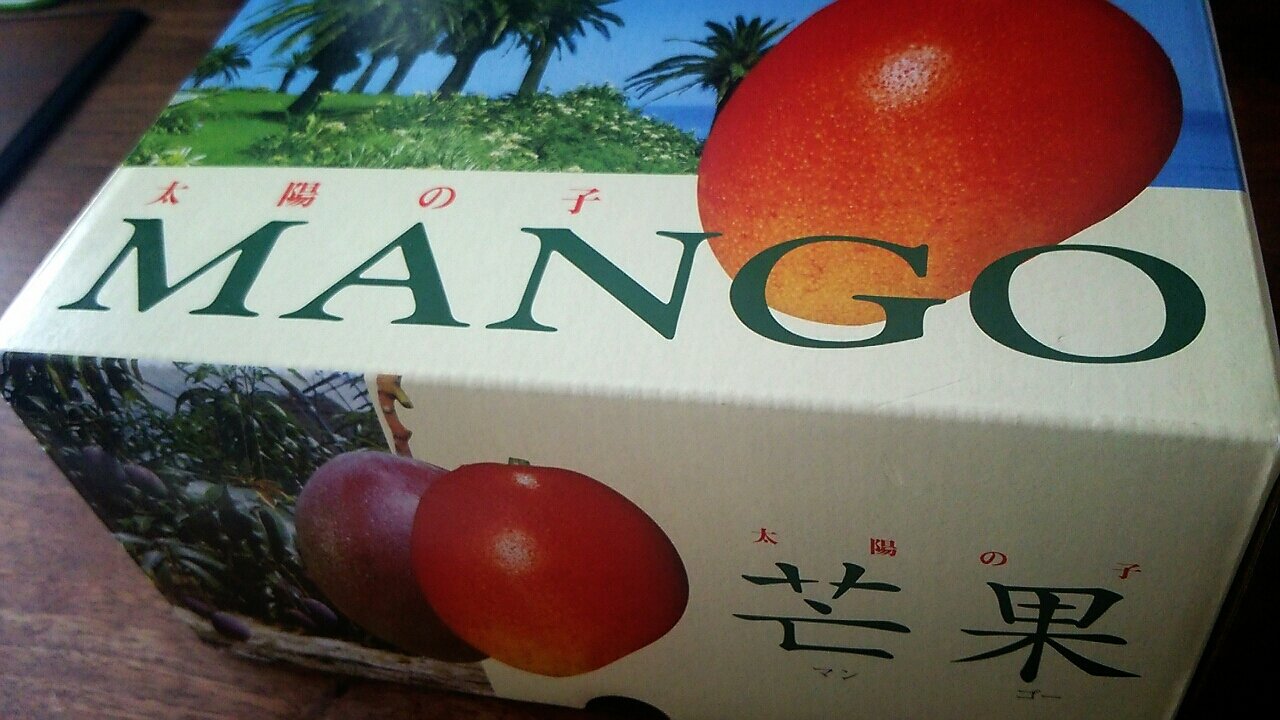 宮崎産 太陽の子 完熟マンゴー らさママのガーデン日記