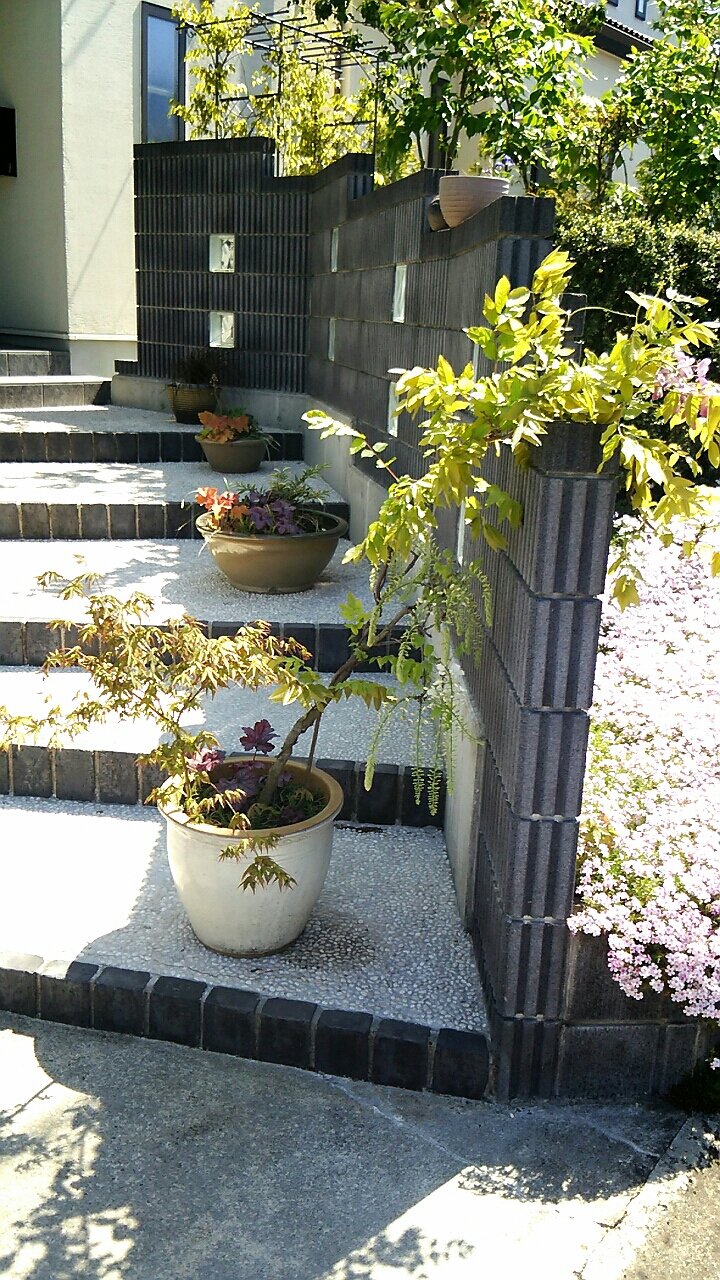 耐陰性のある植物の寄せ植え らさママのガーデン日記